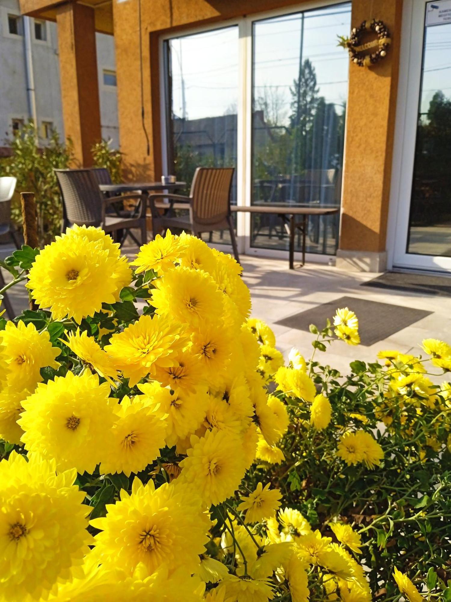 Bed and Breakfast Alfréd Panzió Budapest Exterior foto
